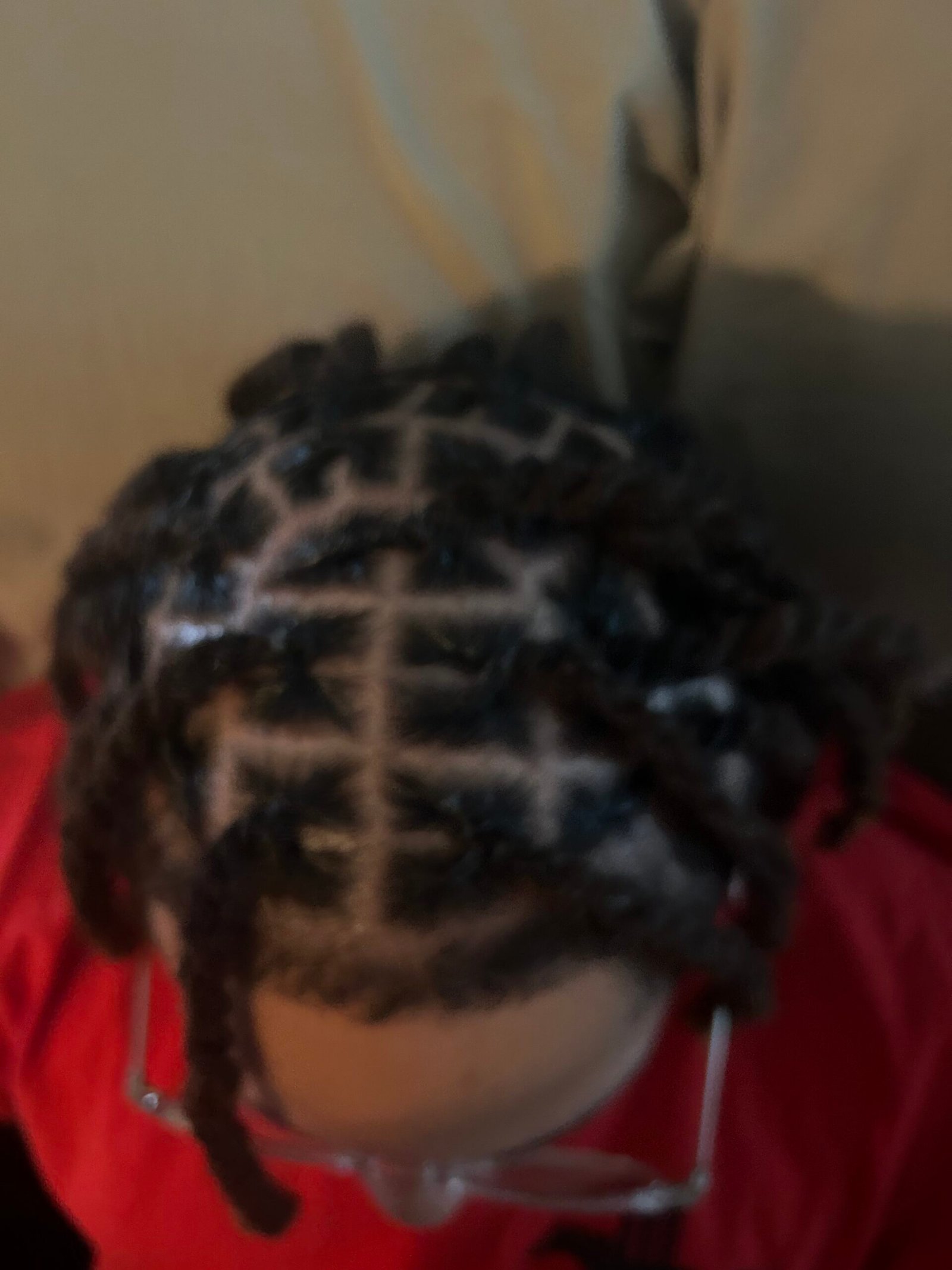 Nae TheStylist — protective style close-up